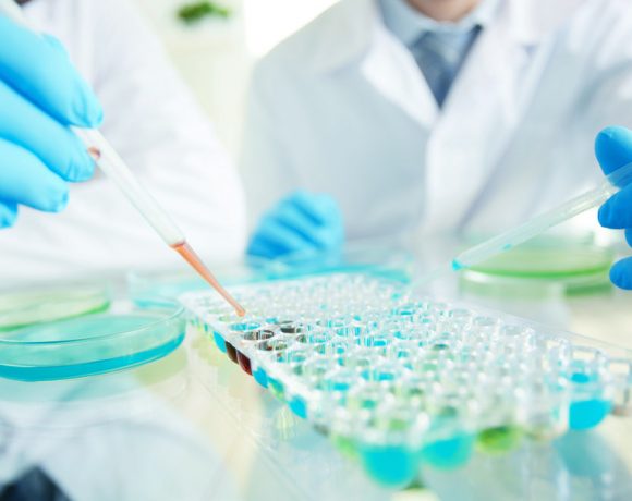 Laboratory Analysis