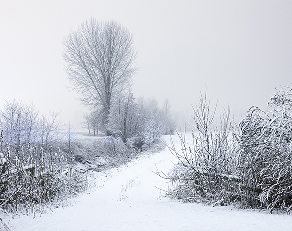 White Winter