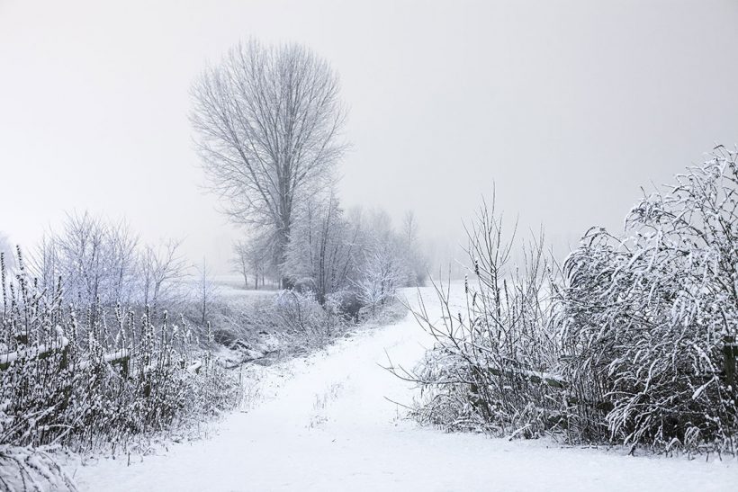 White Winter White Winter