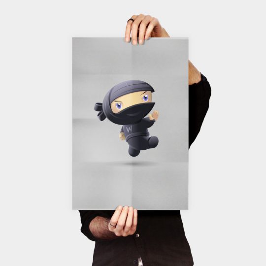Ninja Sylver